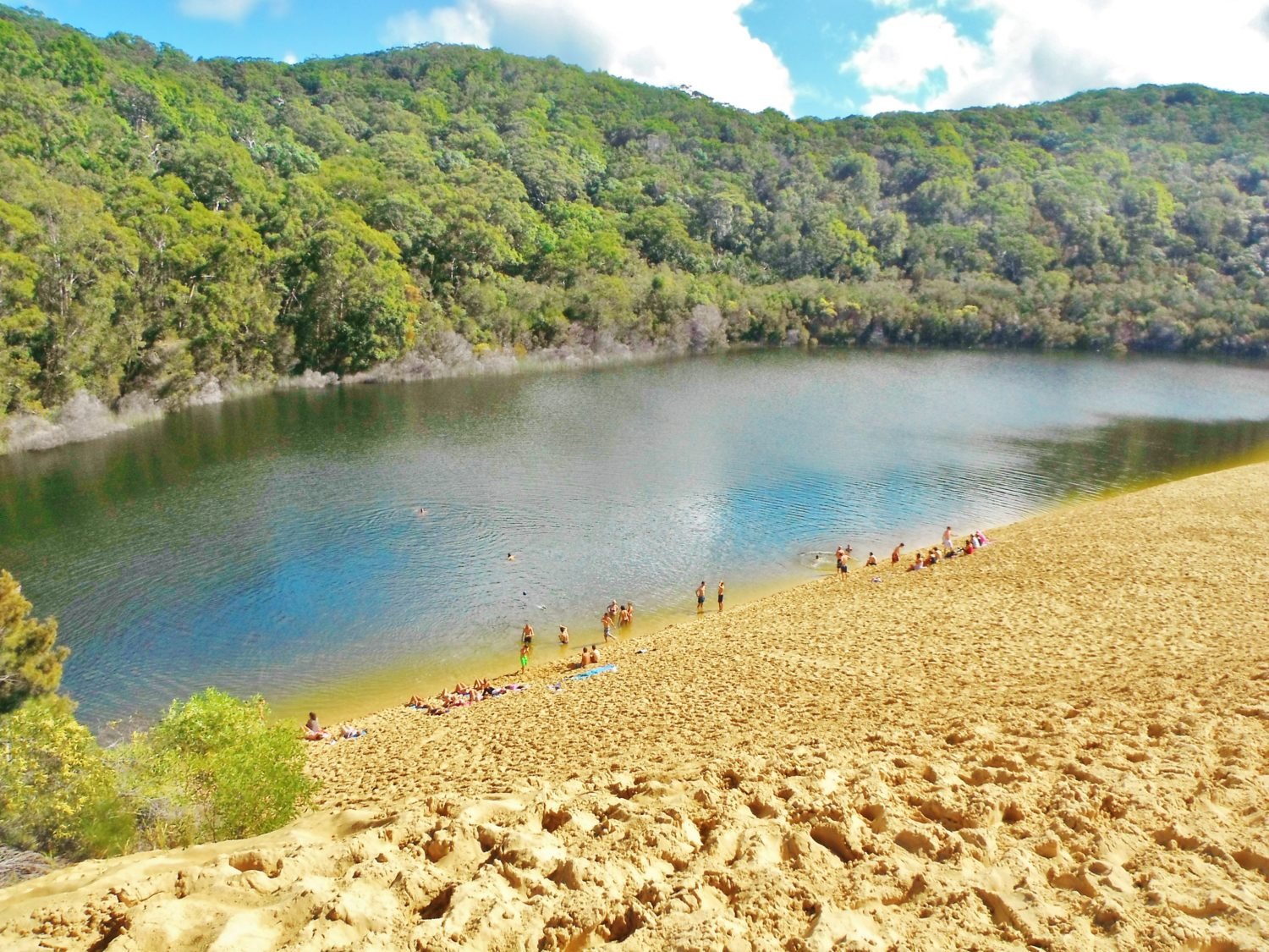 Camping on Fraser Island - While I'm Young